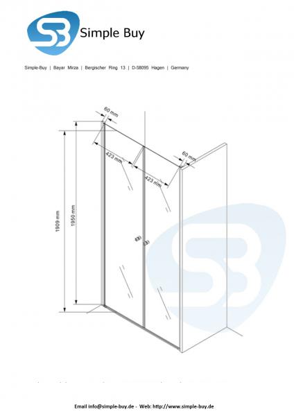 Glas Concept 24 - Nischentür - Nischendusche - Pendeltür - Hebe/Senkmechanismus - 6mm ESG - Variation (100x195cm)